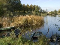 NL, Noord-Brabant, 's Hertogenbosch, De Pettelaar 4, Saxifraga-Jan van der Straaten